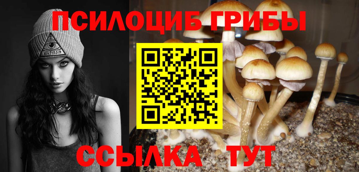 Псилоцибиновые грибы Psilocybine cubensis Отрадное