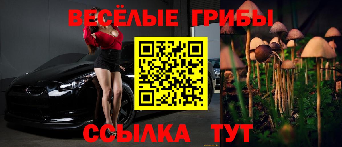 Отрадное  где купить наркотик  Вход с VPN  Псилоцибиновые грибы мицелий 